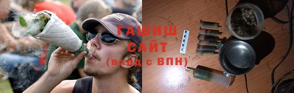 индика Богородицк